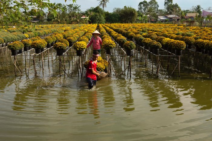 15-DAY BUDGET TRAIN JOURNEY ALONG VIETNAM WITH GROUP